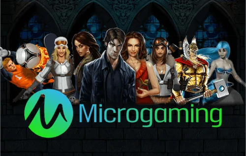  Micro_GAMING_PLUS_SLOT3 