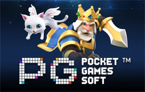  PG_SOFT1 